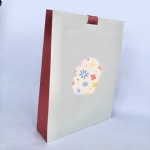 Custom paper gift bag