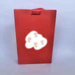 Luxury ribbon gift bag